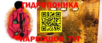 соль ск Будённовск