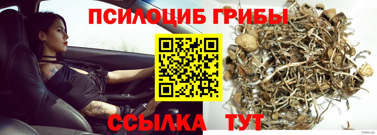 Северобайкальск  Галлюциногенные грибы ЛСД  Вход с VPN 